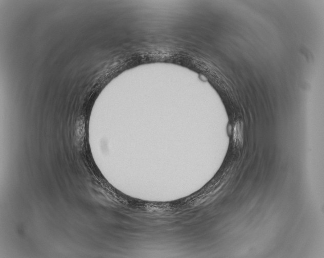 X0000110681299200907241035