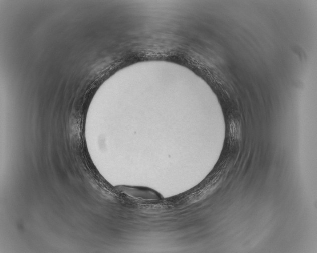 X0000110681300200907241035