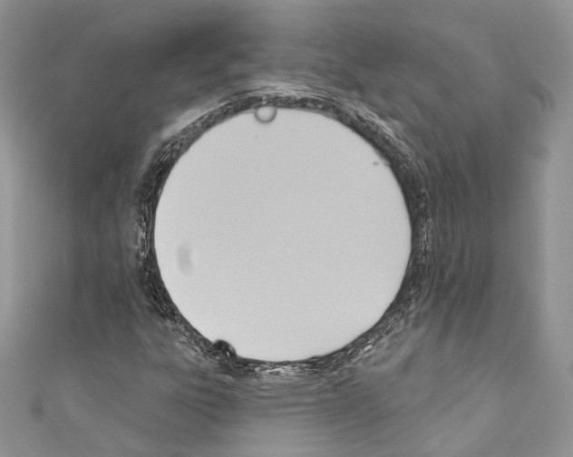 X0000110681303200907241035
