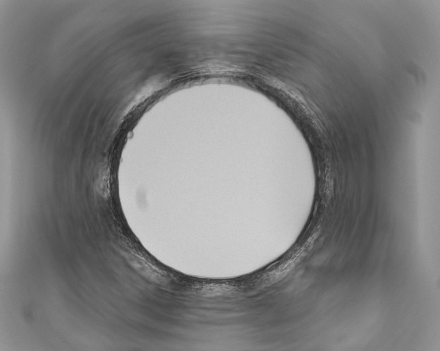 X0000110681306200907241035