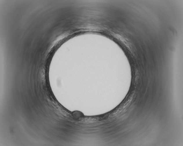 X0000110681307200907241035