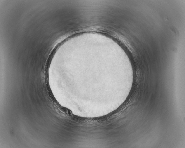 X0000110681308200907241035