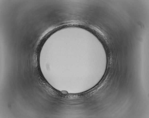 X0000110681310200907241035