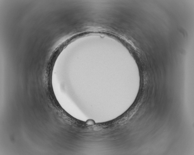X0000110681311200907241035