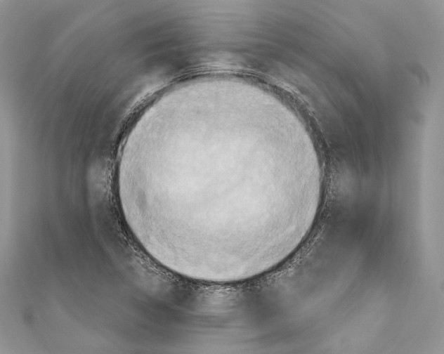X0000110681314200907241035
