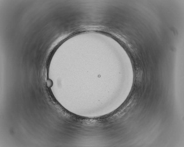 X0000110681317200907241035