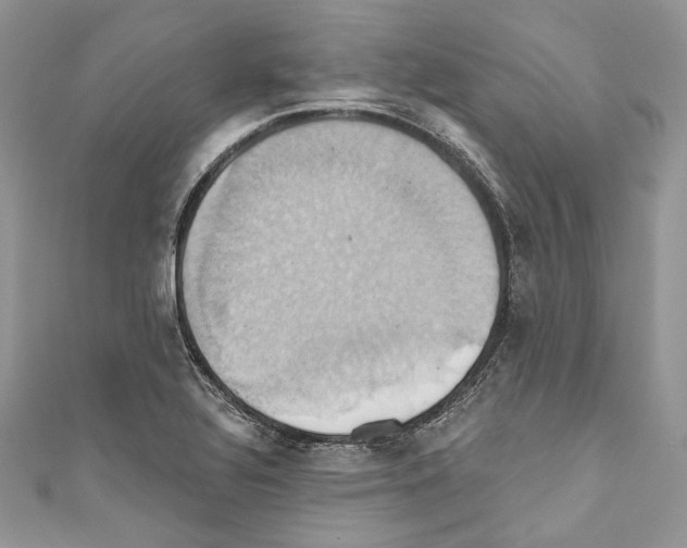 X0000110681320200907241035