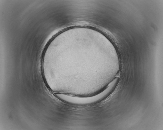 X0000110681326200907241035