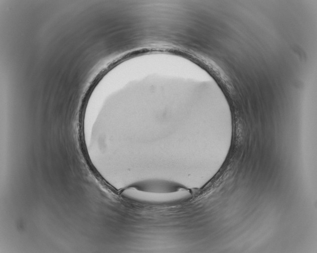 X0000110681327200907241035
