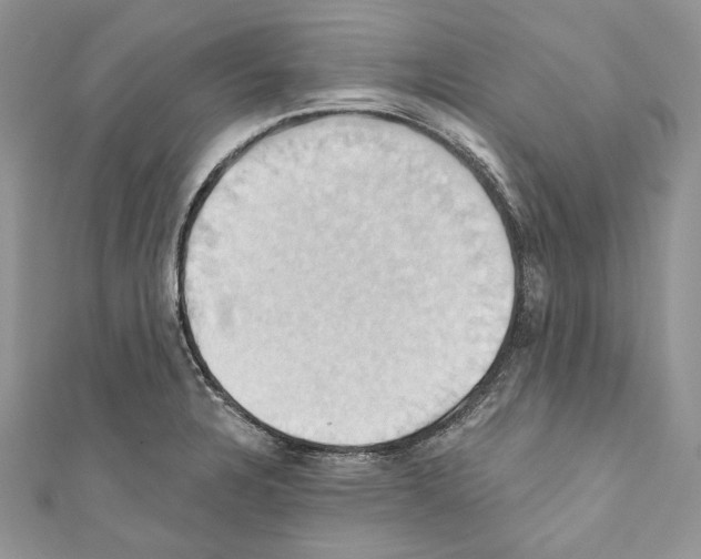 X0000110681328200907241035