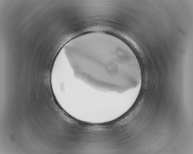 X0000110681329200907241035