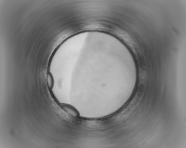 X0000110681330200907241035