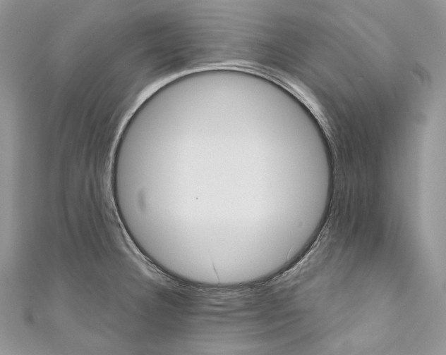 X0000110681332200907241035