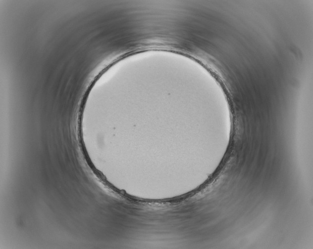 X0000110681333200907241035