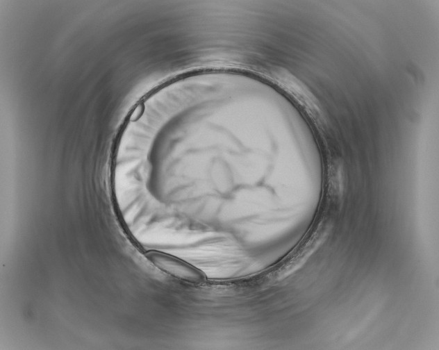 X0000110681334200907241035