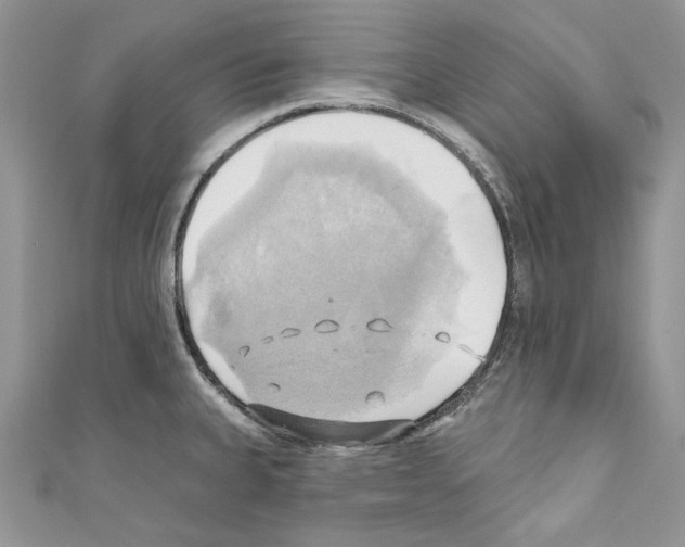 X0000110681335200907241035