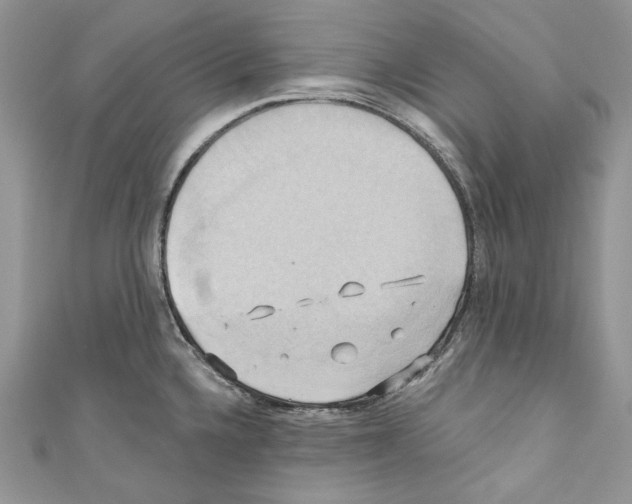 X0000110681336200907241035
