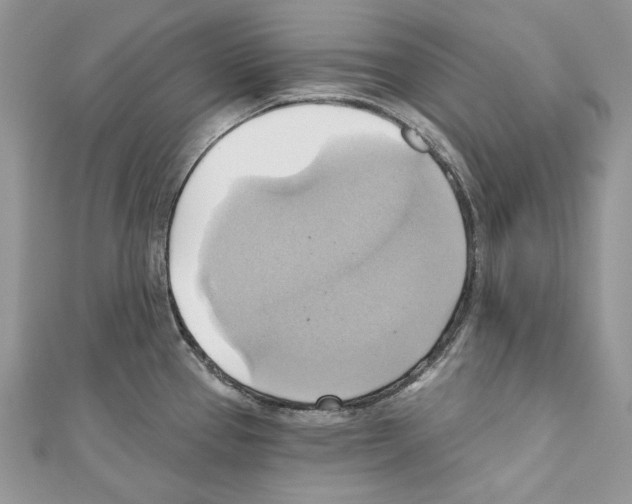 X0000110681337200907241035