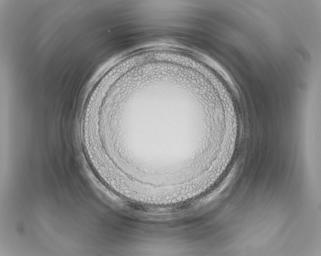 X0000110681338200907241035
