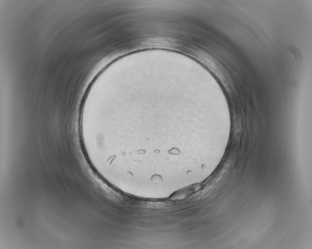 X0000110681339200907241035