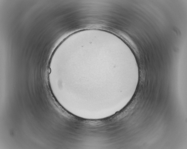 X0000110681340200907241035