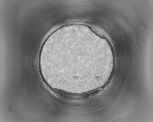 X0000110681341200907241035
