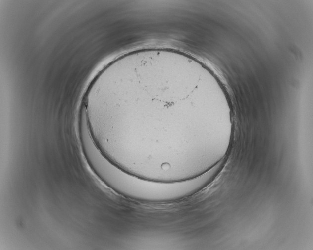 X0000110681342200907241035