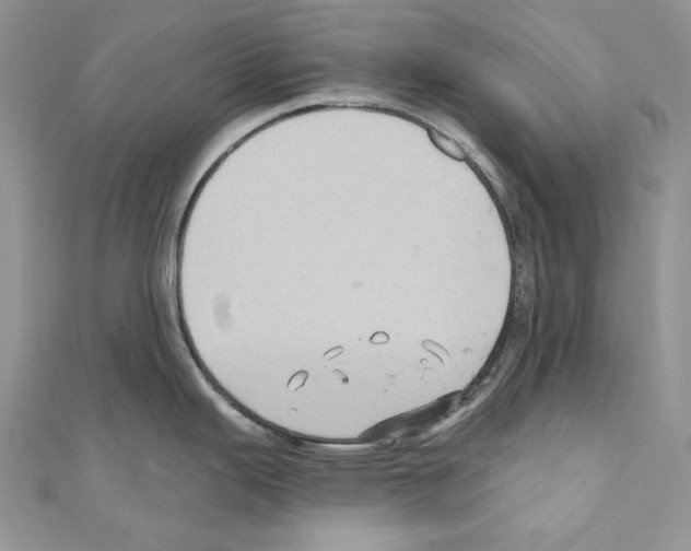 X0000110681343200907241035