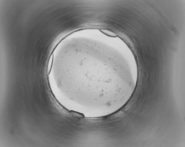 X0000110681344200907241035