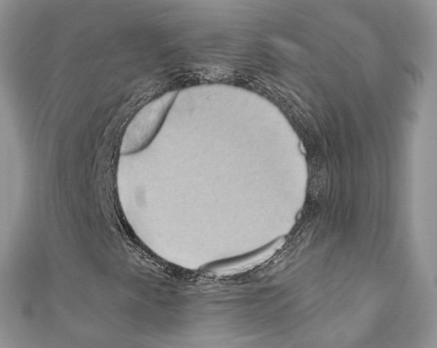 X0000110681345200907241035