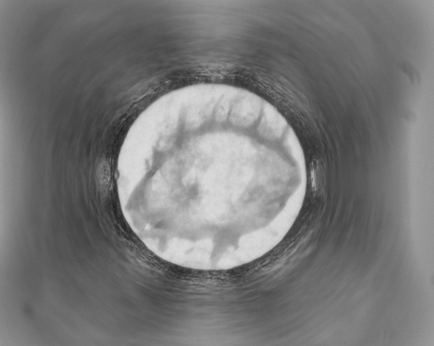 X0000110681347200907241035