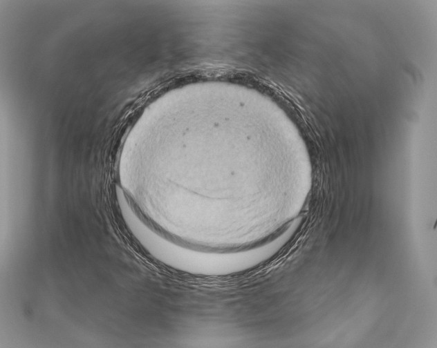 X0000110681349200907241035