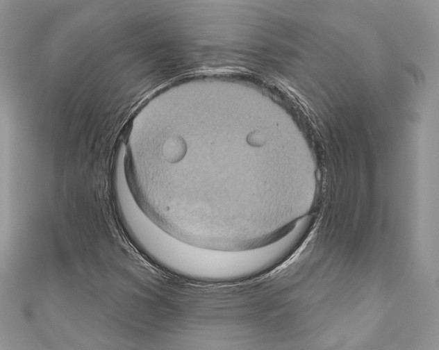 X0000110681353200907241035