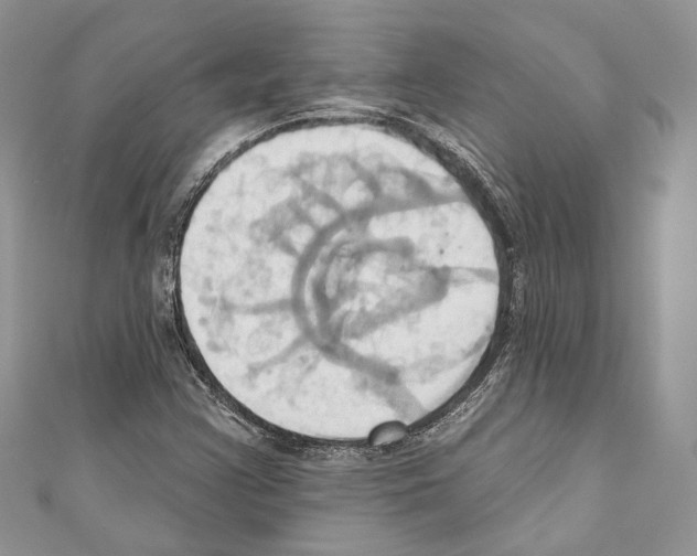 X0000110681355200907241035