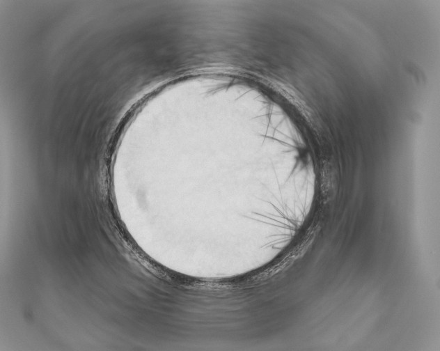 X0000110681356200907241035