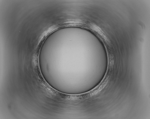 X0000110681357200907241035