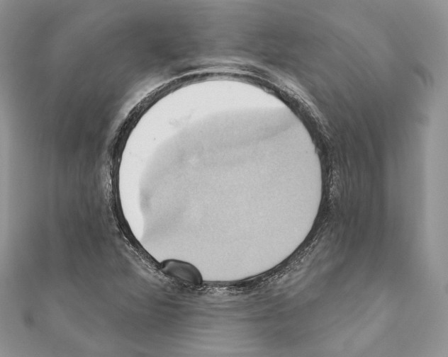 X0000110681360200907241035