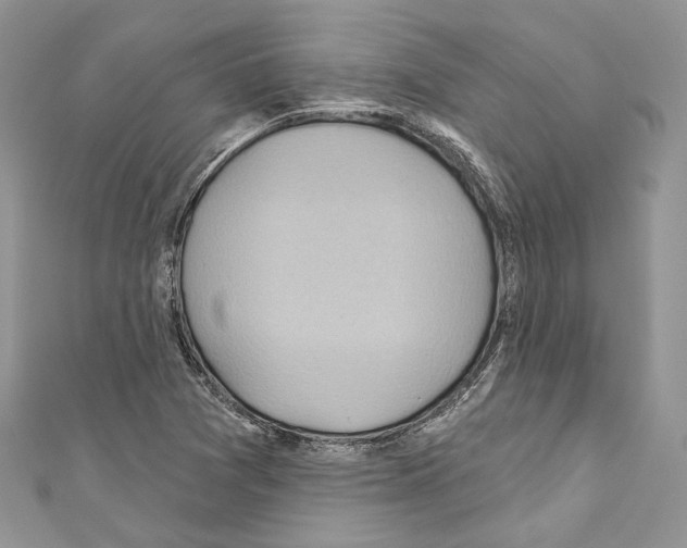 X0000110681361200907241035