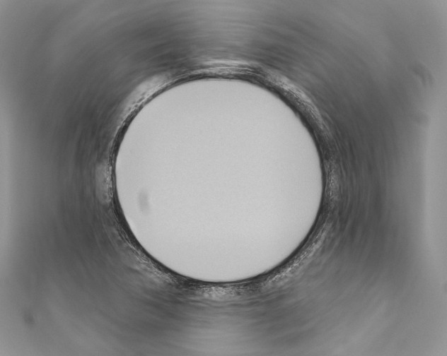 X0000110681362200907241035