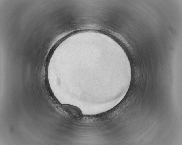 X0000110681364200907241035