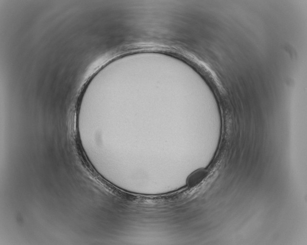 X0000110681365200907241035