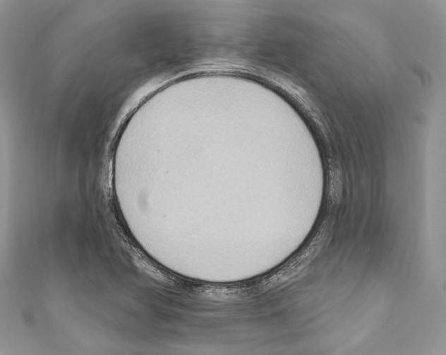 X0000110681366200907241035