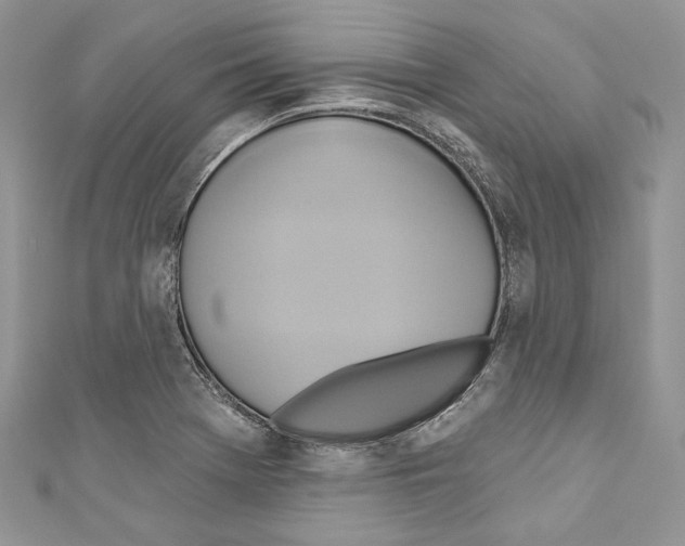 X0000110681369200907241034