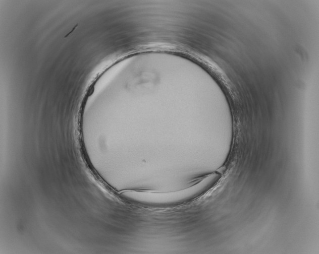 X0000110681373200907241034