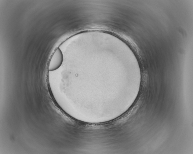 X0000110681374200907241034