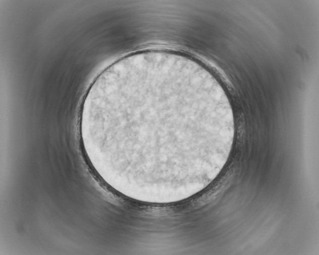 X0000110681375200907241034