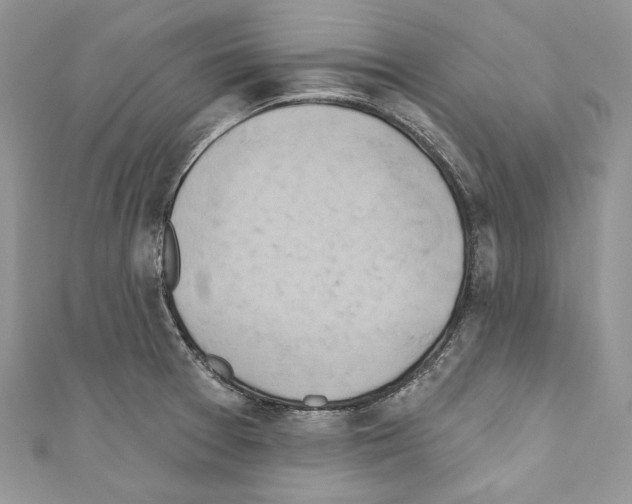X0000110681377200907241034