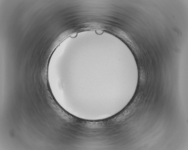 X0000110681378200907241034