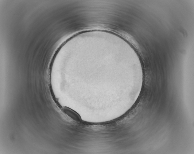 X0000110681380200907241034