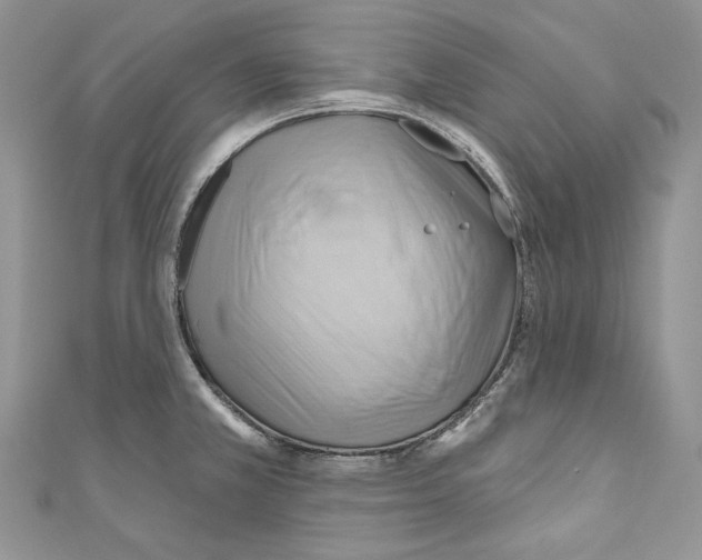 X0000110681381200907241034